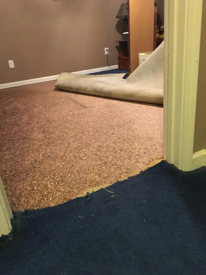 Carpet pad removal revealing water damage during Water Mitigation Services in Frankfort