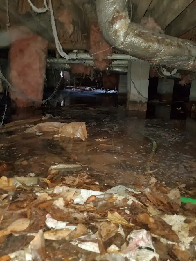 Crawl space flood assessment for Commercial Water Damage Restoration in Frankfort